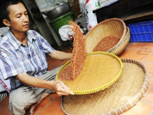 Gạo lứt không có tác dụng chữa bệnh?!